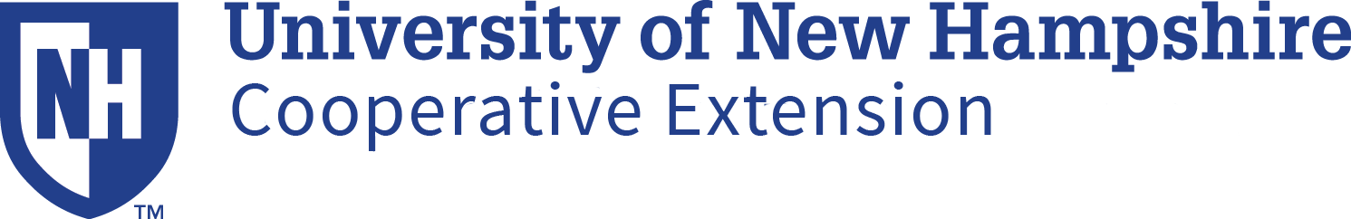 UNHCE Graphic Identity